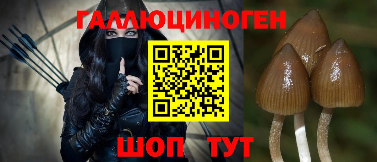 Миасс  Галлюциногенные грибы Cubensis  Вход с VPN 