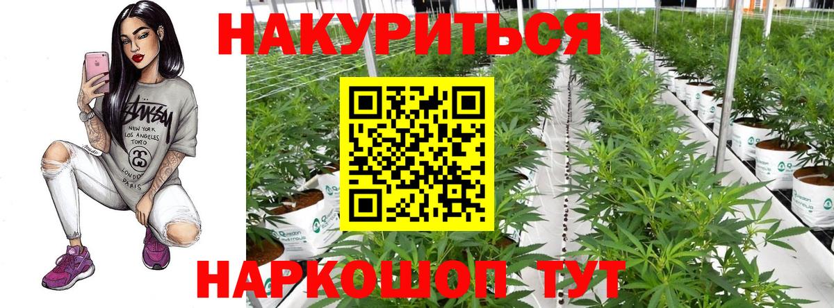 Каннабис ГИДРОПОН  Вход с VPN  МАРИХУАНА THC 21%  Марихуана Bruce Banner  Миасс  Бошки марихуана Bruce Banner 
